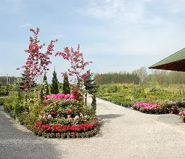 collection unique de plantes d'ornement rares