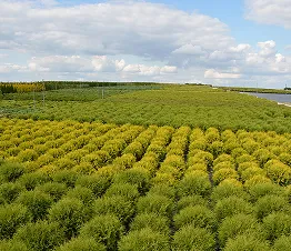 machines modernes utilisées dans les soins des plantes